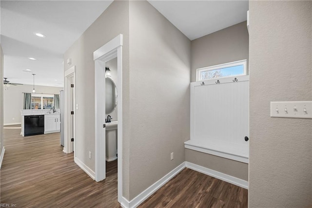 hall featuring dark hardwood / wood-style floors and sink