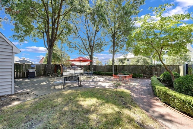 view of yard featuring a patio