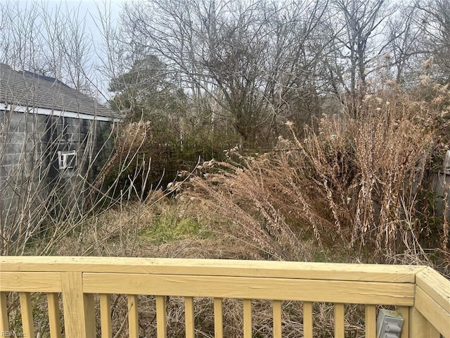 6336 Old Townpoint Rd, Suffolk, VA 23435 - view of yard