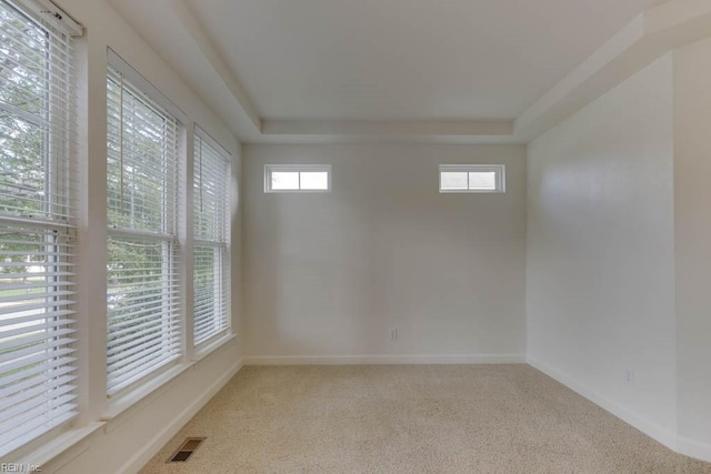 spare room with light carpet and a tray ceiling