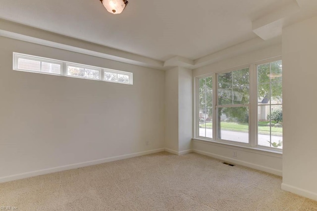 carpeted spare room with a wealth of natural light