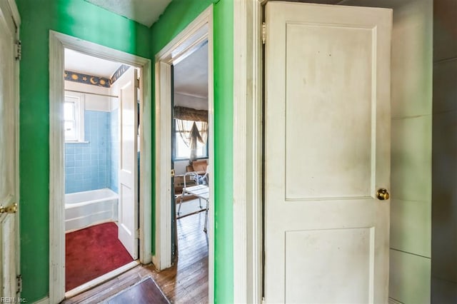 hallway featuring plenty of natural light and light hardwood / wood-style floors