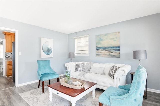 living room with hardwood / wood-style floors