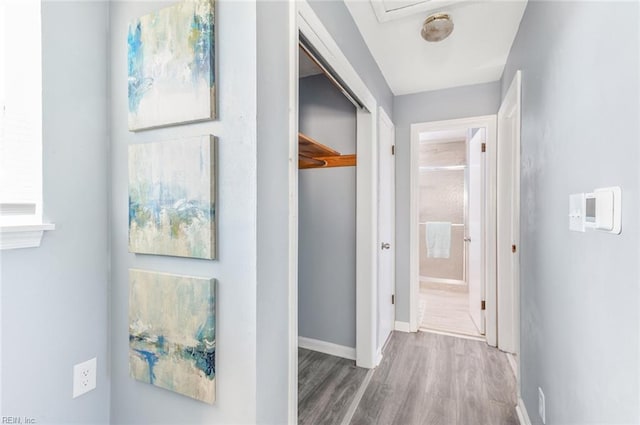 hallway with wood-type flooring