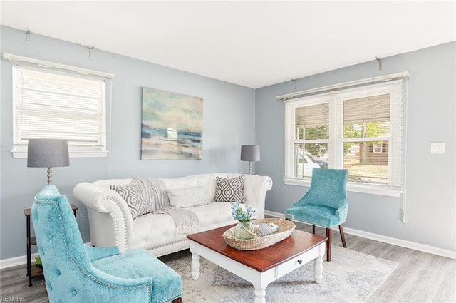 living room with hardwood / wood-style flooring