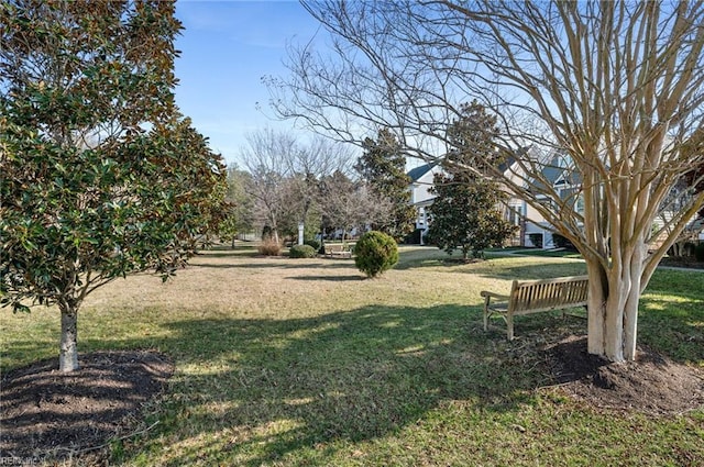 view of community featuring a yard