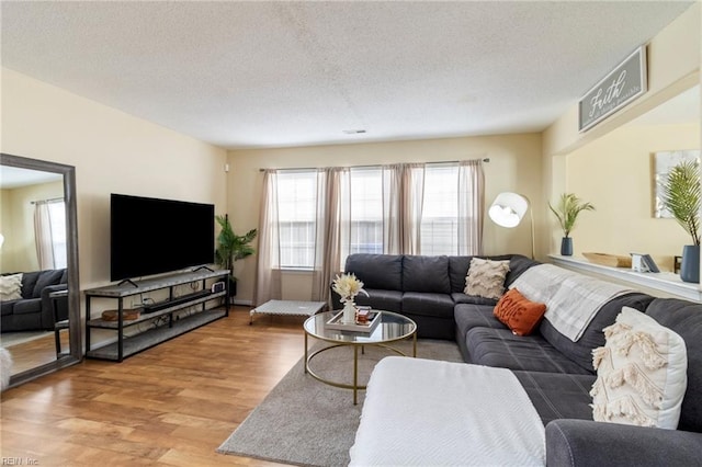 living room featuring hardwood / wood-style floors and a textured ceiling