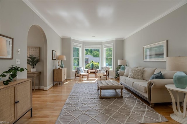 living room featuring ornamental molding and light wood-type flooring