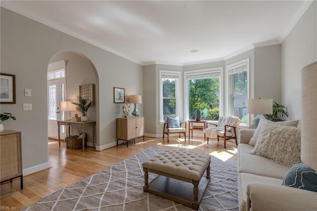 sitting room featuring crown molding and hardwood / wood-style floors