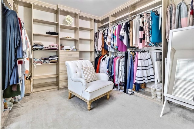 spacious closet featuring light colored carpet