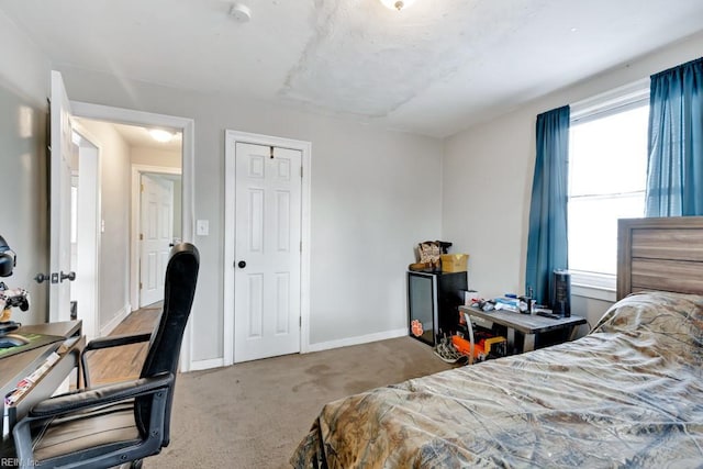 bedroom featuring multiple windows, carpet floors, and a closet