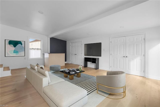 living room featuring light hardwood / wood-style flooring