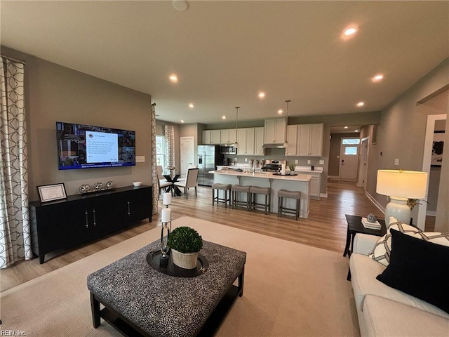 living room with light wood-type flooring