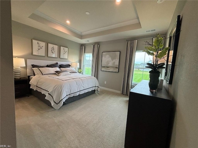 bedroom with a raised ceiling, carpet floors, and access to exterior