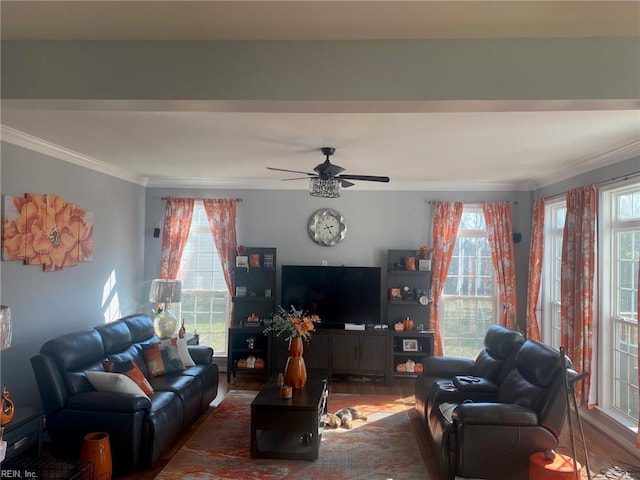 living room featuring hardwood / wood-style floors, ornamental molding, and a wealth of natural light