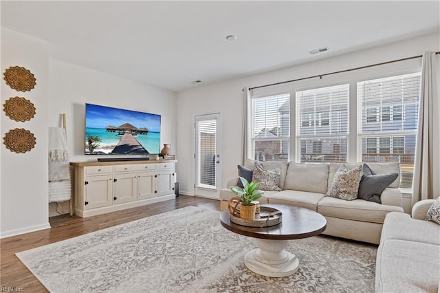 living room with wood-type flooring