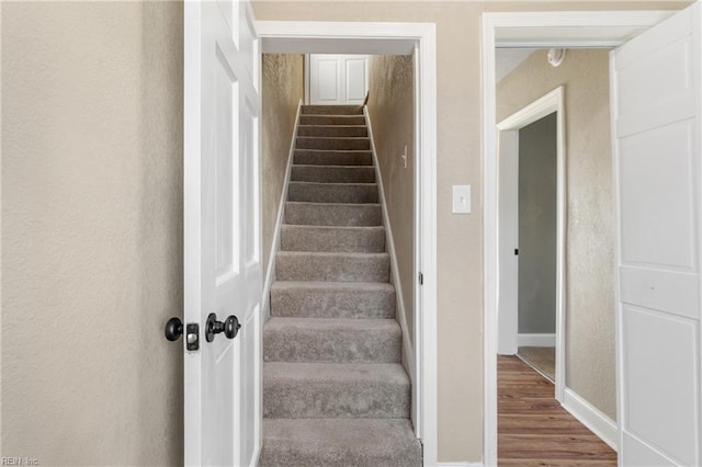 stairs with wood-type flooring