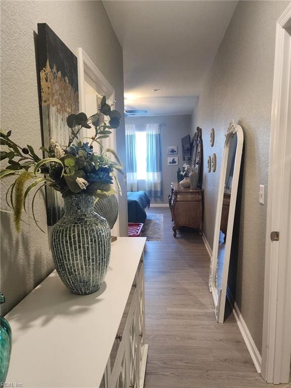 corridor featuring light hardwood / wood-style floors