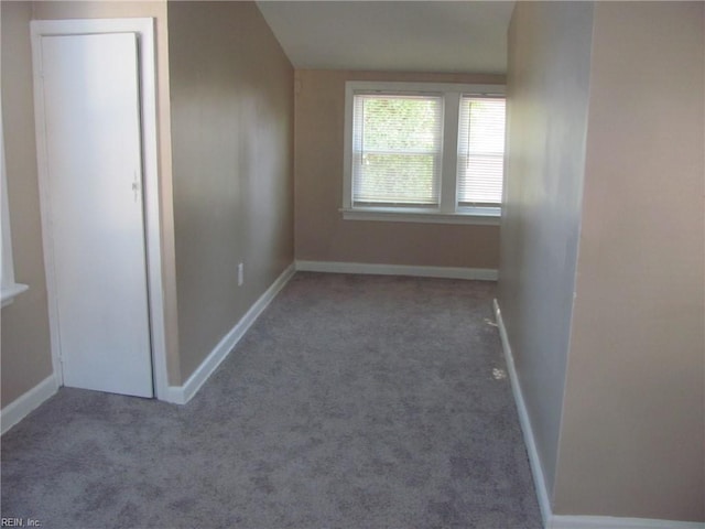 bonus room featuring carpet floors