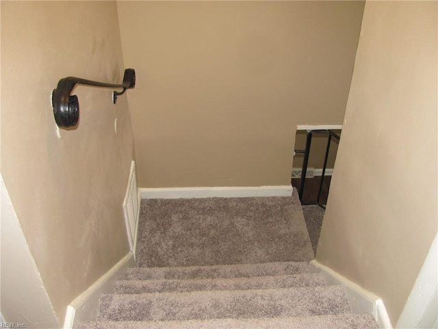 stairs with carpet flooring