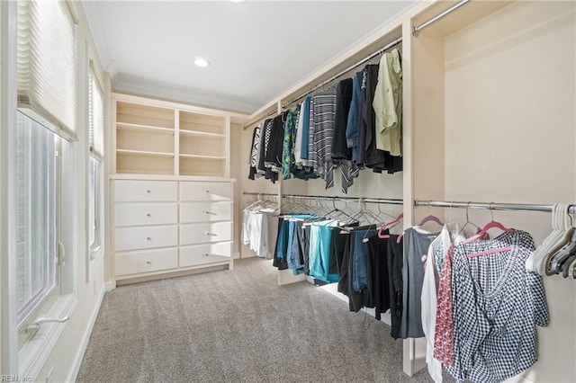 spacious closet with carpet