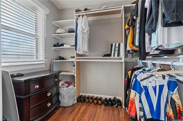 spacious closet with dark hardwood / wood-style flooring