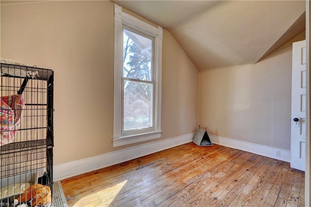 bonus room featuring lofted ceiling, plenty of natural light, and light hardwood / wood-style flooring