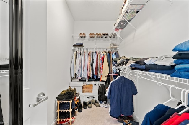 spacious closet with carpet flooring