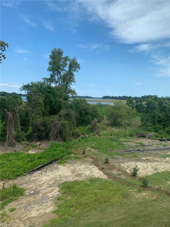 view of local wilderness featuring a water view