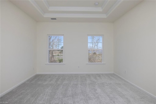 carpeted empty room with a tray ceiling and plenty of natural light