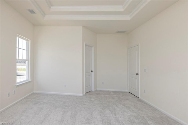 spare room with light colored carpet and a tray ceiling