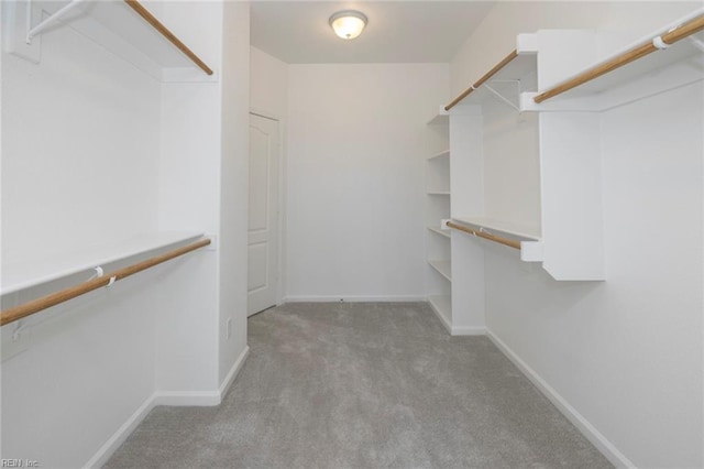 walk in closet with carpet