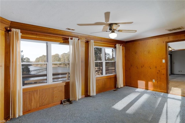 carpeted empty room featuring a water view, a wealth of natural light, and wood walls