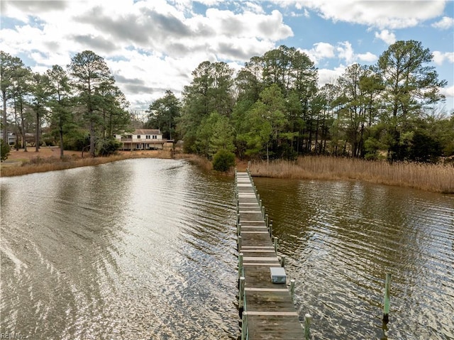 dock area featuring a water view