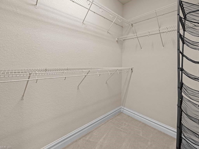 walk in closet featuring carpet flooring