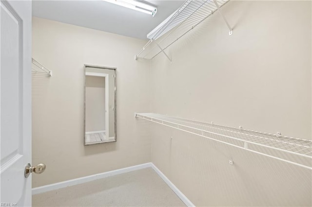 spacious closet featuring carpet flooring