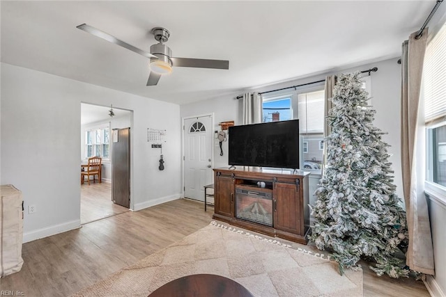 living room with ceiling fan and light wood-type flooring