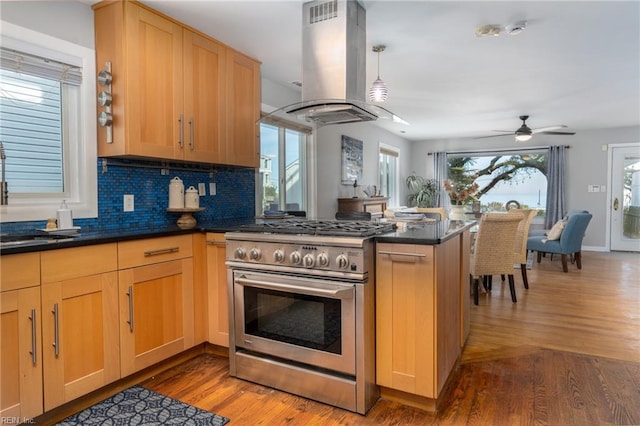 kitchen featuring backsplash, hardwood / wood-style flooring, island exhaust hood, high end stainless steel range, and kitchen peninsula