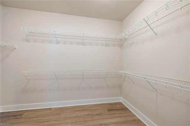 spacious closet featuring wood-type flooring