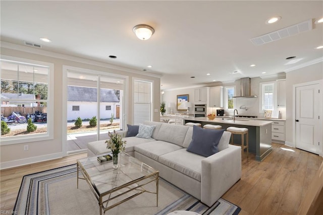 living room featuring crown molding, sink, and light hardwood / wood-style flooring