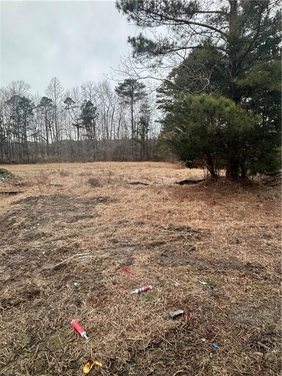 2084 Millville Rd, Chesapeake, VA 23323 - view of undeveloped land