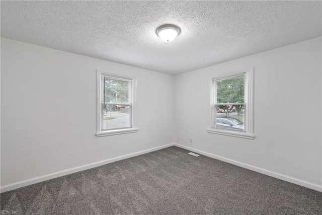 carpeted empty room featuring plenty of natural light and a textured ceiling