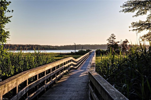 dock area with a water view