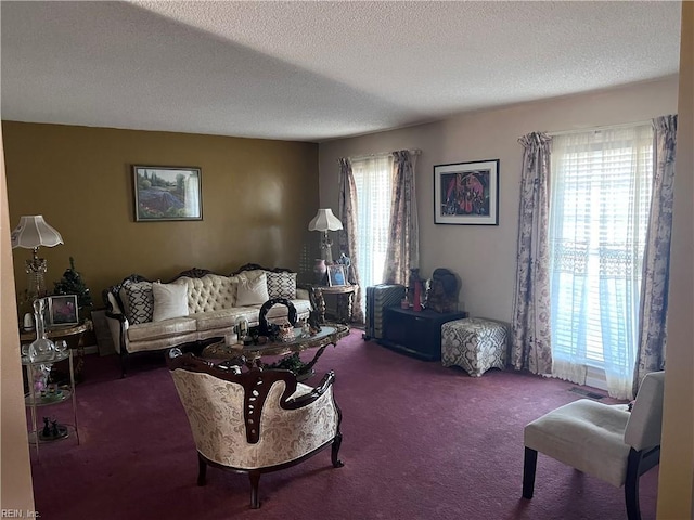 carpeted living room featuring a textured ceiling