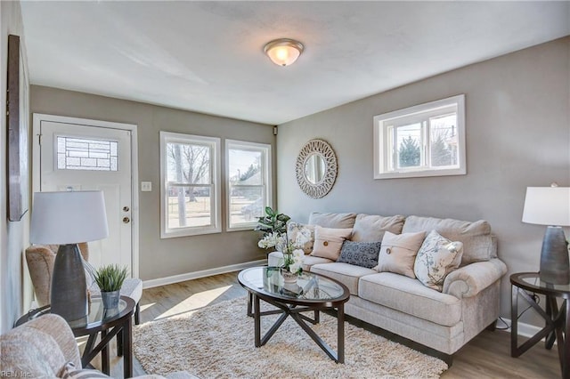 living room featuring hardwood / wood-style floors