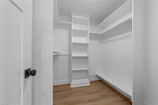 spacious closet featuring hardwood / wood-style flooring