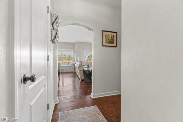 corridor featuring dark hardwood / wood-style flooring