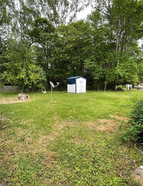 view of yard with a storage shed