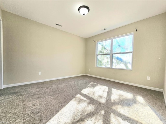 empty room featuring carpet