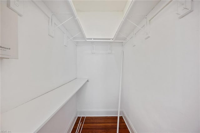 walk in closet with dark wood-type flooring